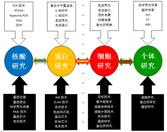 透射电镜技术服务服务报价/价格 -三联兄弟生物医药研究(北京) - 实验技术服务- 生物在线 Lab-on-Web